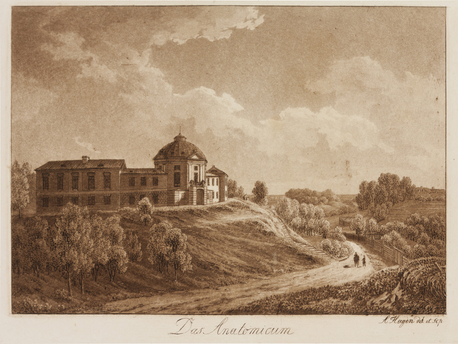 tartu anatomical museum